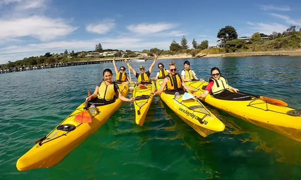Sea Kayaking Tour - Dolphin Sanctuary and Point Nepean - Port Phillip Bay