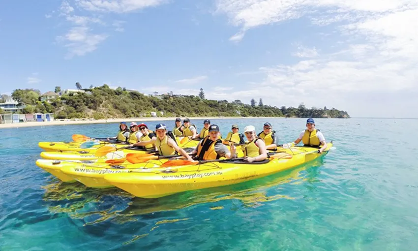Sea Kayaking Tour - Dolphin Sanctuary and Point Nepean - Port Phillip Bay