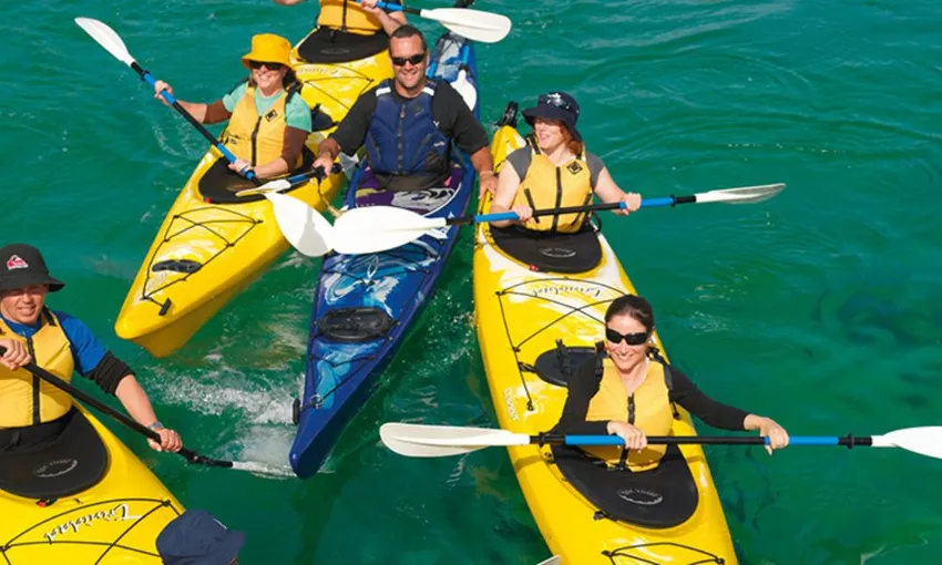 Sea Kayaking Tour - Dolphin Sanctuary and Point Nepean - Port Phillip Bay