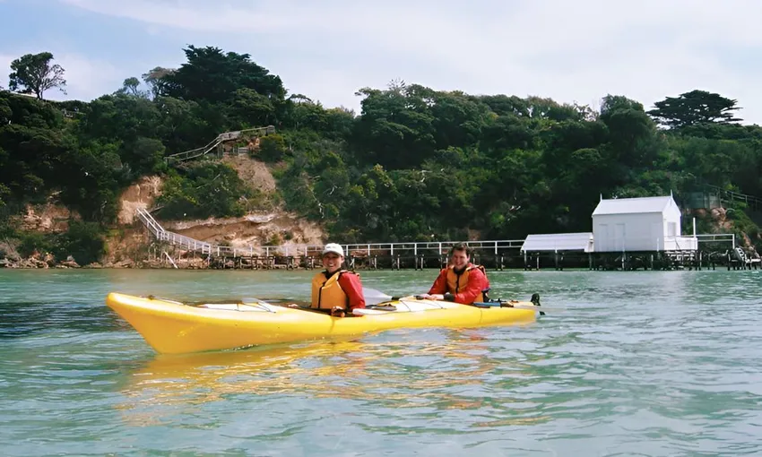 Sea Kayaking Tour - Dolphin Sanctuary and Point Nepean - Port Phillip Bay