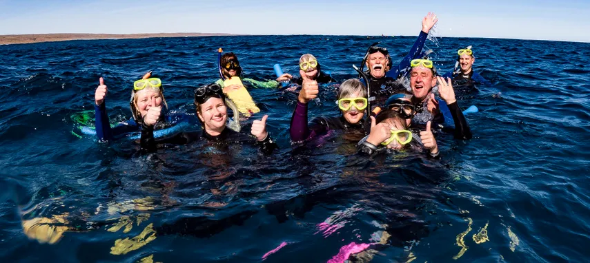 Exmouth Ningaloo Whale Shark Swim & Cruise | Experience Oz