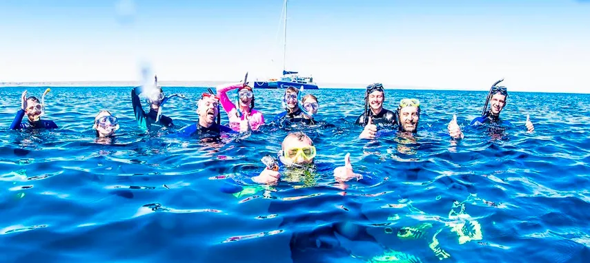 Exmouth Ningaloo Whale Shark Swim & Cruise | Experience Oz