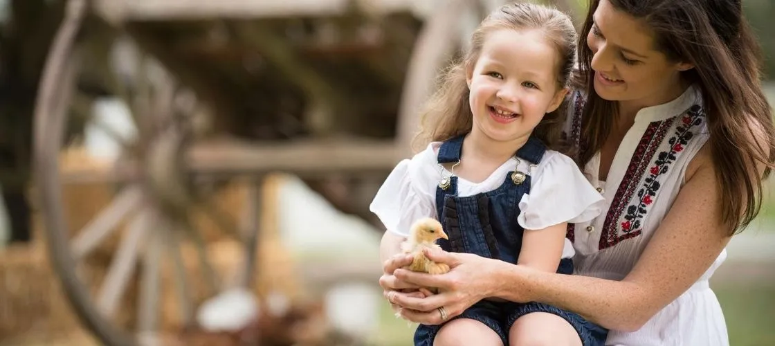 Gold Coast Paradise Country Koala Breakfast - Book Now | Experience Oz-4