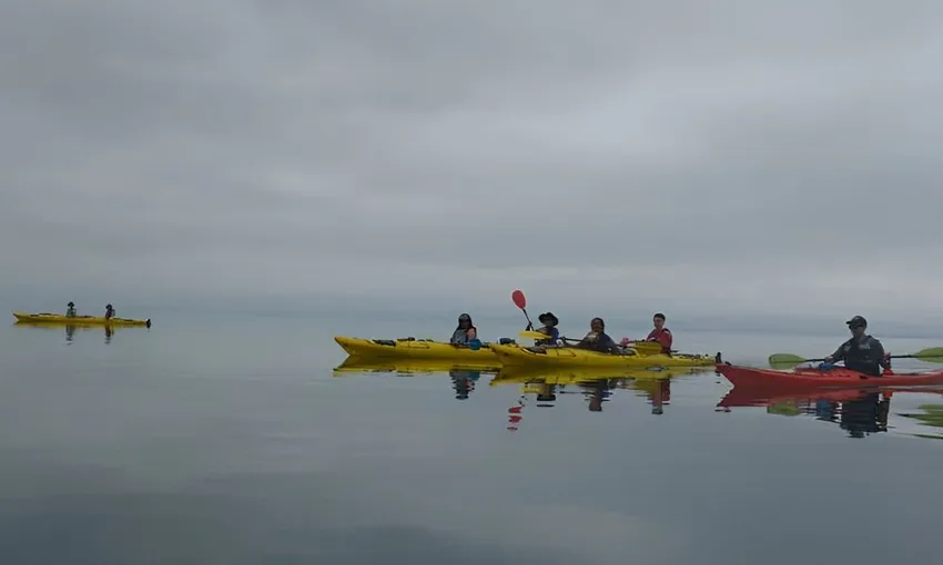 Sea Kayaking, 3-day Wilsons Promontory - Melbourne