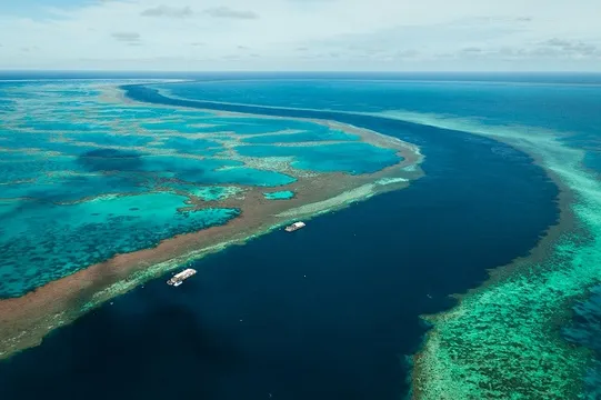 Great Barrier Reef Cruise Adventure