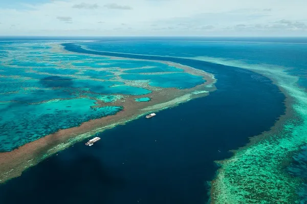 Whitsundays Outer Reef Day Tour ex Port of Airlie | Experience Oz
