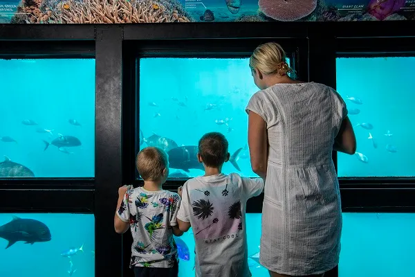 Whitsundays Outer Reef Day Tour ex Port of Airlie | Experience Oz