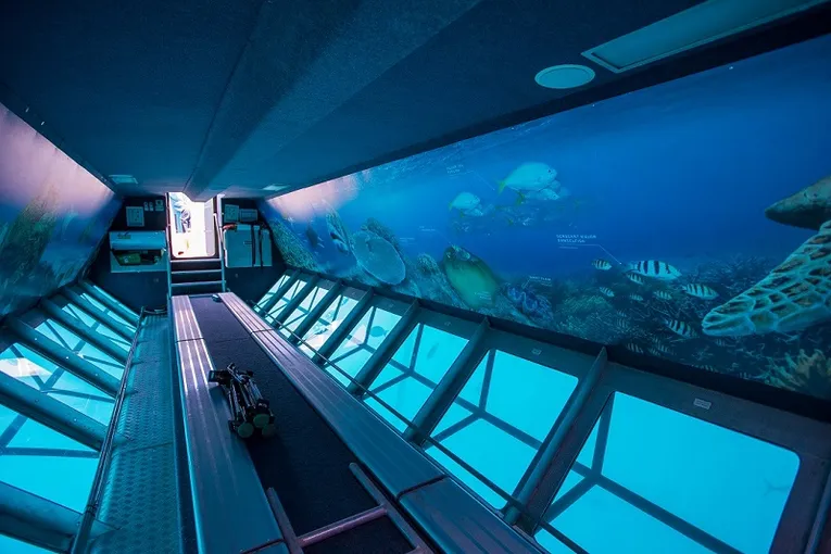 Whitsundays Outer Reef Day Tour ex Port of Airlie | Experience Oz