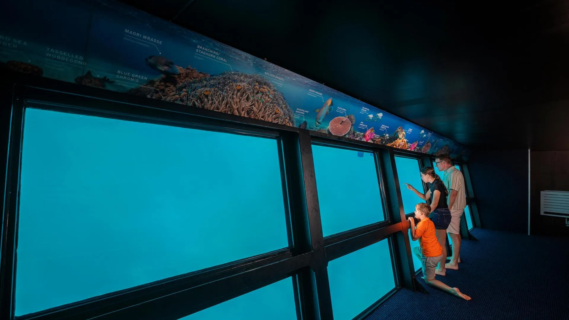 Whitsundays Outer Reef Day Tour ex Port of Airlie | Experience Oz-8