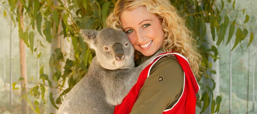 Gold Coast Paradise Country Koala Breakfast - Book Now | Experience Oz