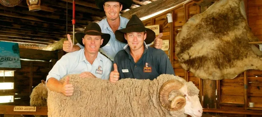 Gold Coast Paradise Country Koala Breakfast - Book Now | Experience Oz