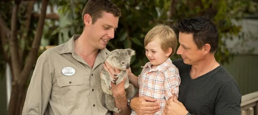 Gold Coast Paradise Country Koala Breakfast - Book Now | Experience Oz