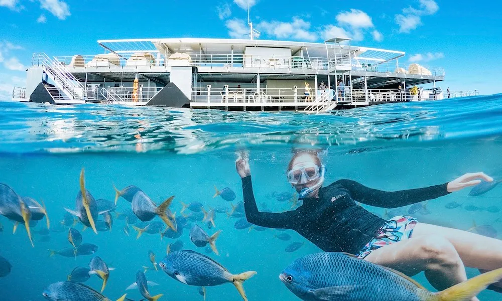 Whitsundays Reefsleep Cruise - Book Now | Experience Oz-2