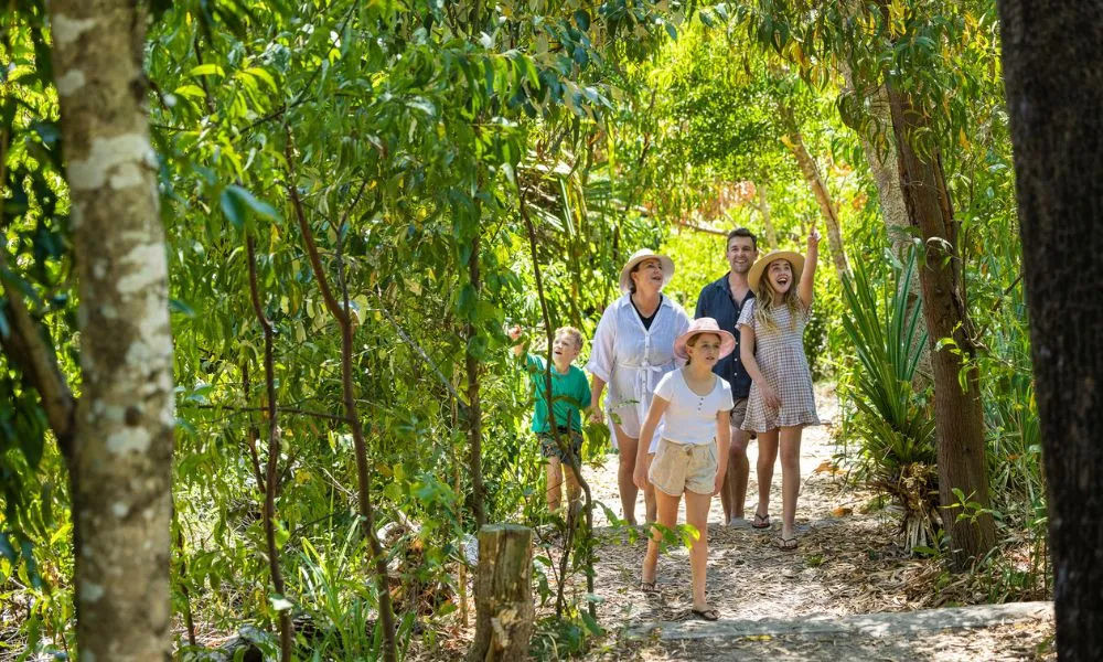Whitehaven Beach Afternoon Tour | Experience Oz-5
