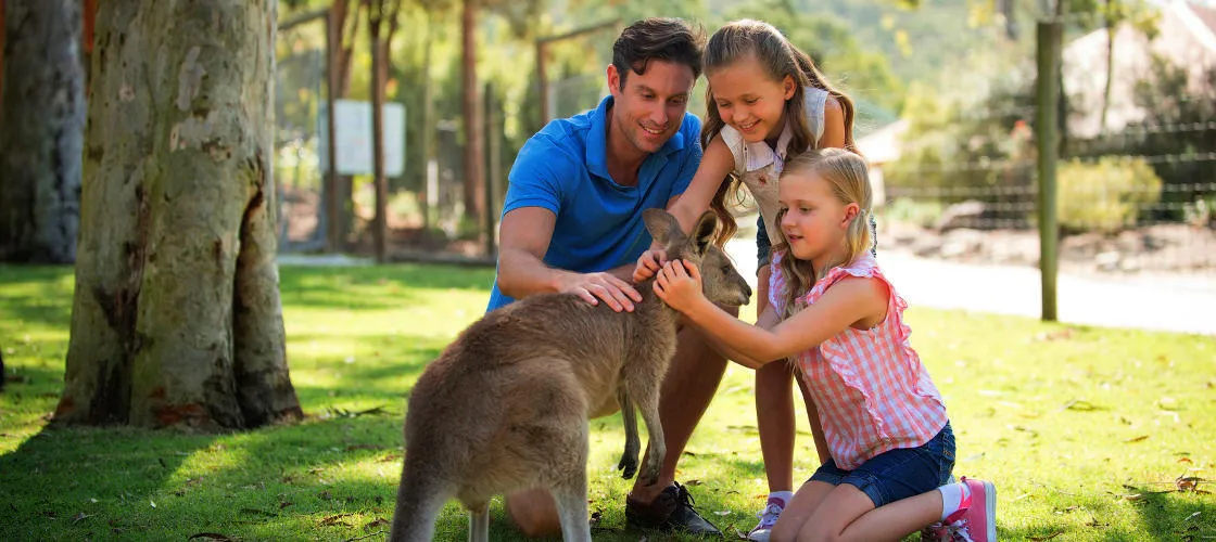 Paradise Country Aussie Farm Park Gold Coast | Experience Oz-7