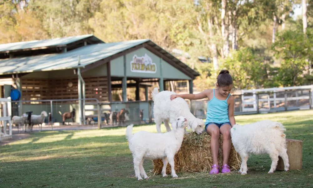 Paradise Country Aussie Farm Park Gold Coast | Experience Oz-2