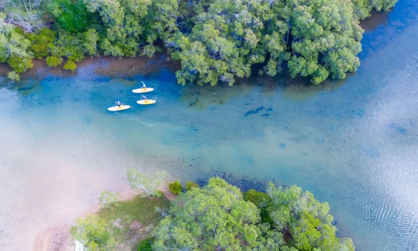 Stand Up Paddle Boarding Byron Bay | Experience Oz