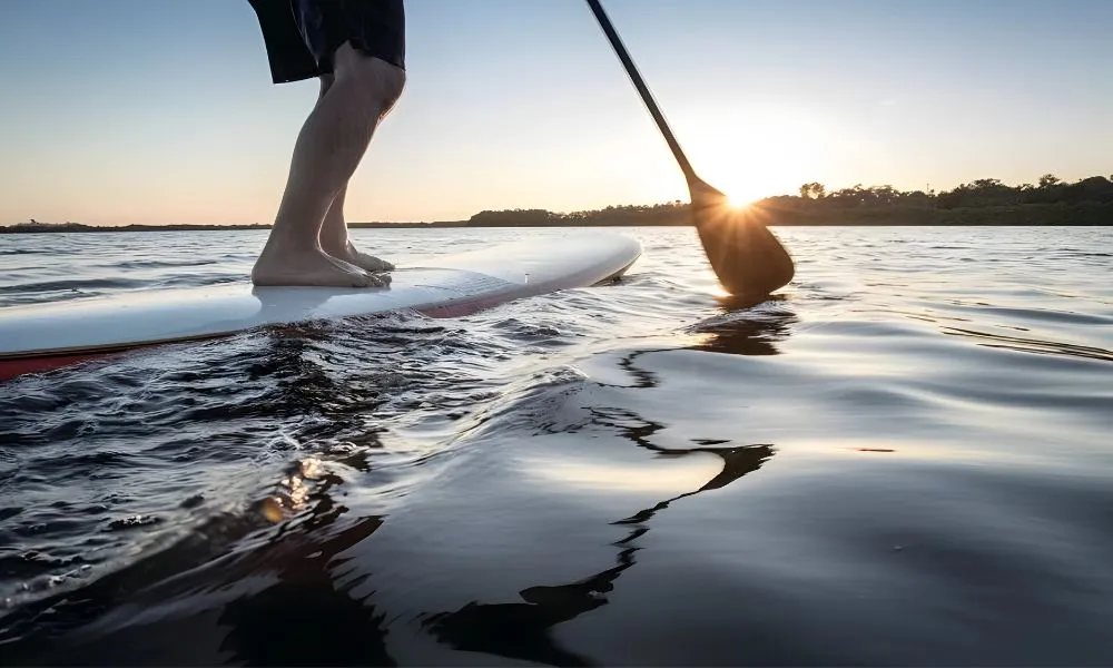 Stand Up Paddle Boarding Byron Bay | Experience Oz-6