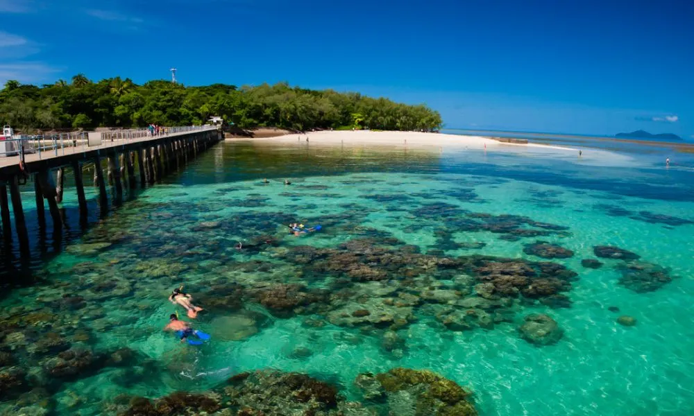 Green Island Day Trip - Return Ferry Transfer Only-3