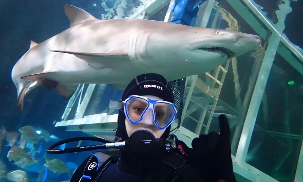 Sydney Aquarium Shark Dive - Book Now | Experience Oz-3