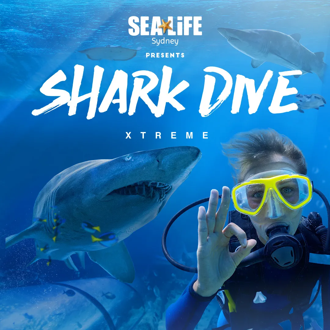 Sydney Aquarium Shark Dive - Book Now | Experience Oz-6