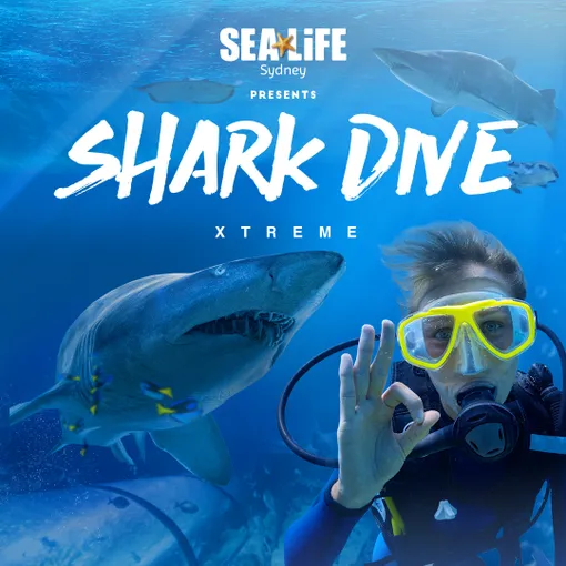 Sydney Aquarium Shark Dive - Book Now | Experience Oz