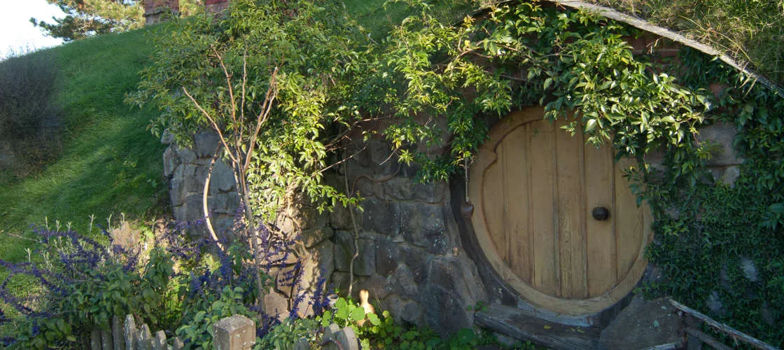 Auckland to Hobbiton Day Tour with Lunch | Experience Oz-2