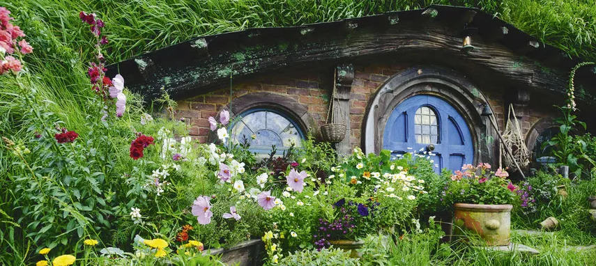 Auckland to Hobbiton Day Tour with Lunch | Experience Oz