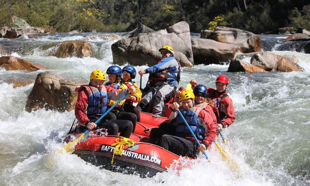 Omeo White Water Rafting Mitta River, 1 Day
