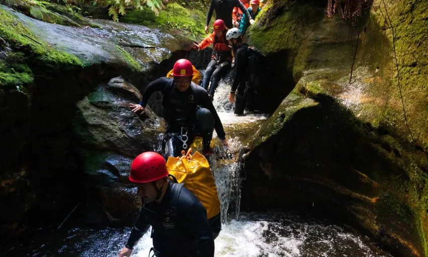 Empress Falls Canyon and Abseiling - Full Day - Blue Mountains