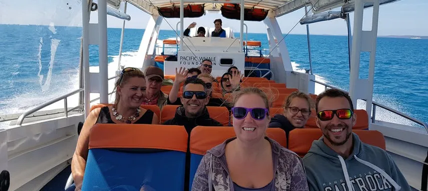 3 Hour Whale Watching Cruise from Hervey Bay | Experience Oz + NZ