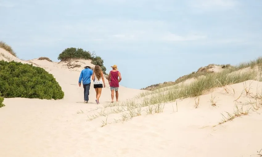 Half Day Cruise to Coorong National Park | Experience Oz