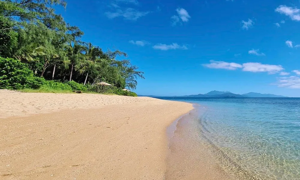 Port Douglas Low Isles Half Day Morning Cruise | Experience Oz-4