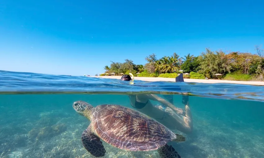 Port Douglas Low Isles Half Day Afternoon Cruise | Experience Oz