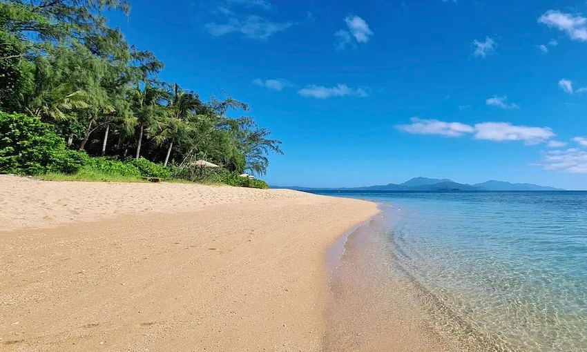 Port Douglas Low Isles Half Day Afternoon Cruise | Experience Oz