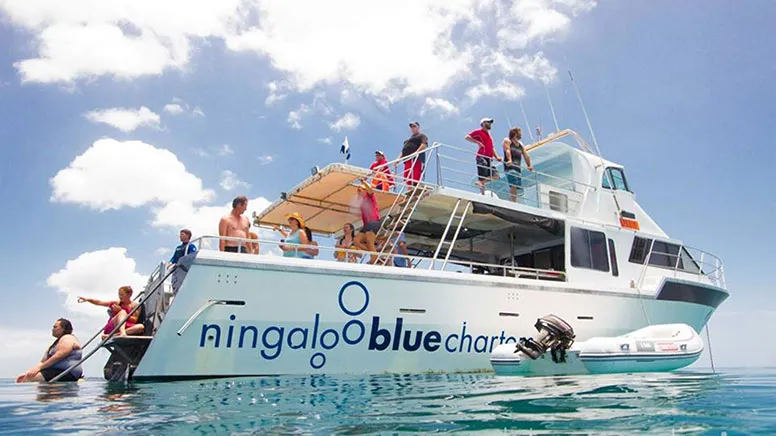 Whale Shark Sighting Eco Tour - Ningaloo WA