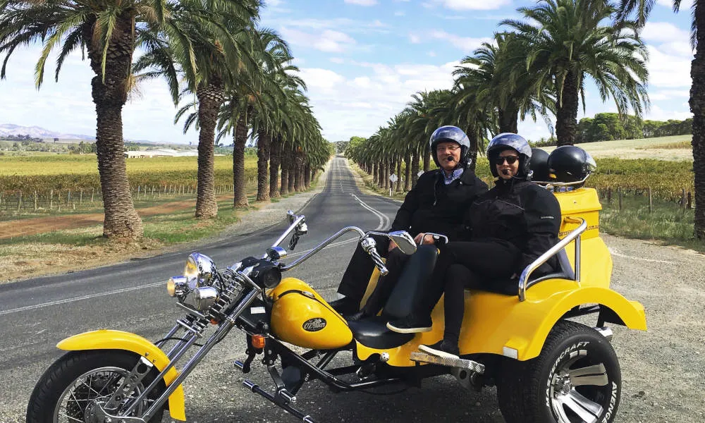 Barossa Valley Winery Trike Tour | Experience Oz-3