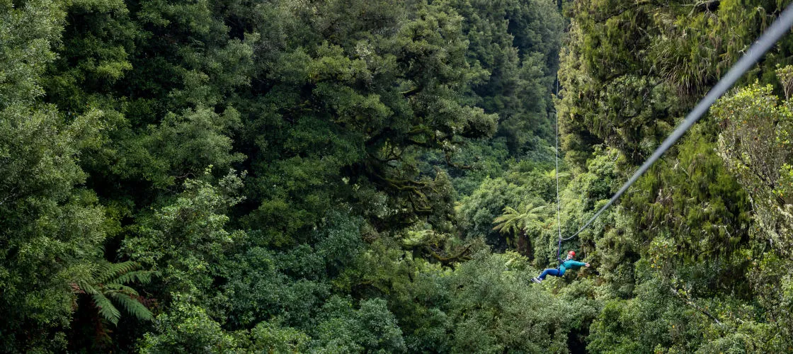 New Zealand Adventure Zipline Tour Rotorua | Experience Oz-5