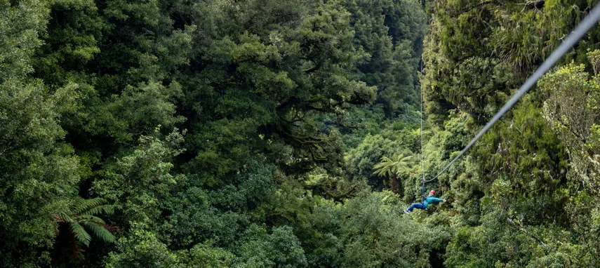 New Zealand Adventure Zipline Tour Rotorua | Experience Oz