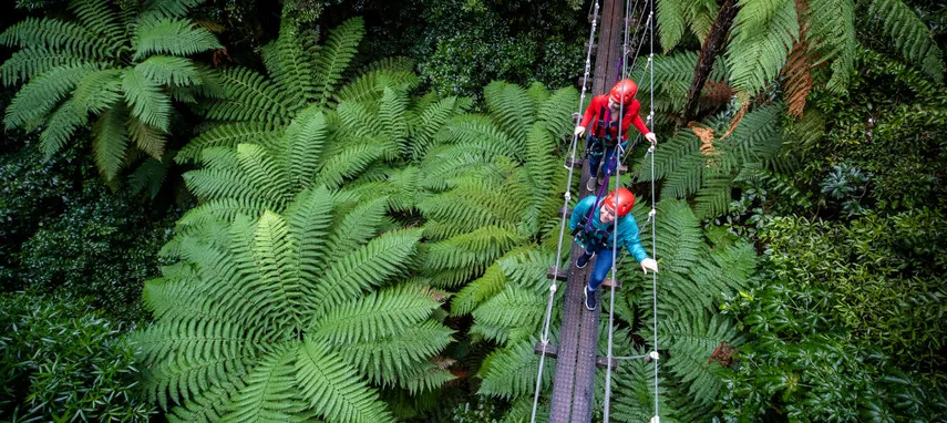 New Zealand Adventure Zipline Tour Rotorua | Experience Oz