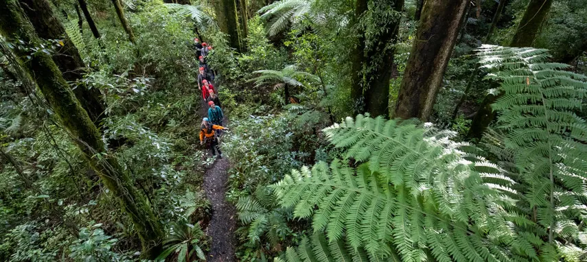 New Zealand Adventure Zipline Tour Rotorua | Experience Oz