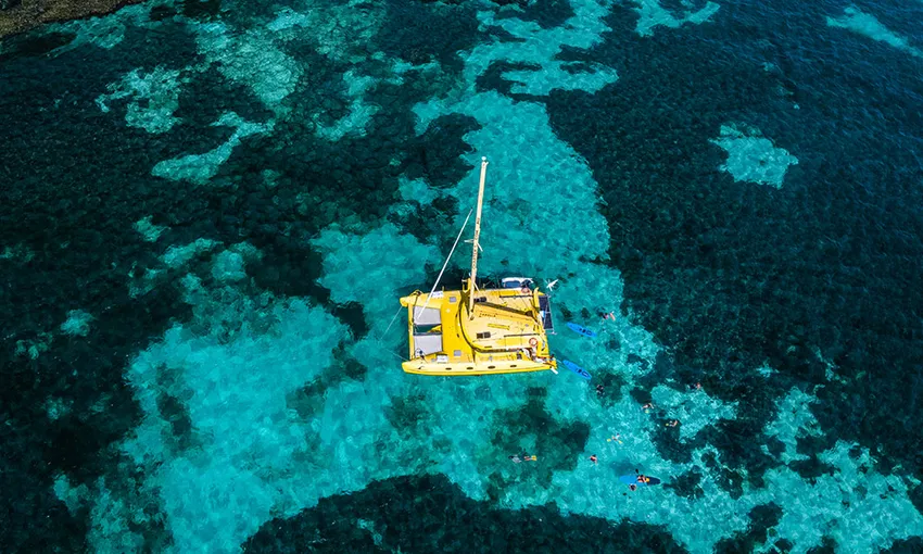 Rottnest Island Full Day Sail Cruise - Book Now | Experience Oz