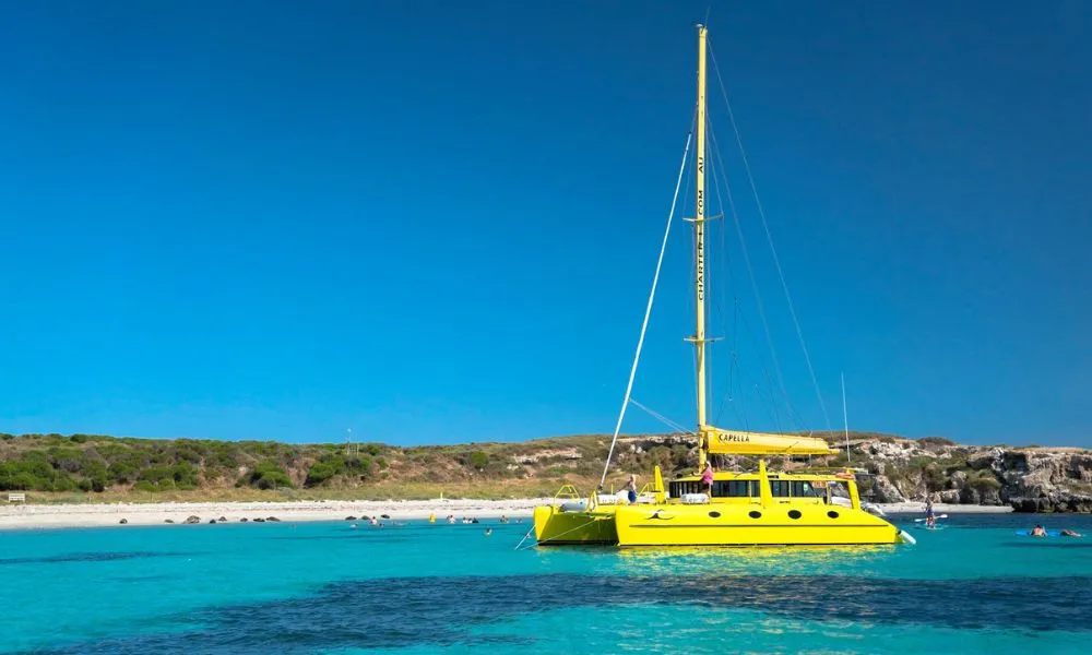 Carnac Island Half Day Sail Cruise - Book Now | Experience Oz-1