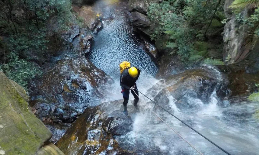 Blue Mountain Abseil and Canyoning Tour | Experience Oz + NZ