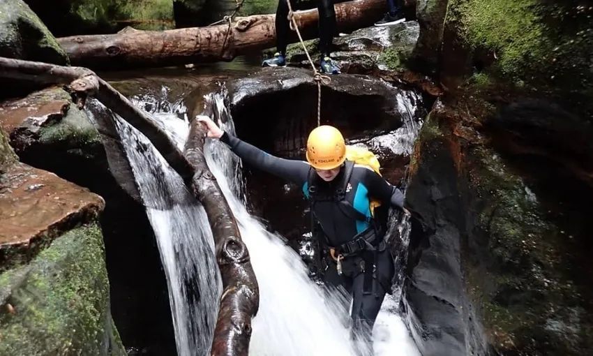 Blue Mountain Abseil and Canyoning Tour | Experience Oz + NZ
