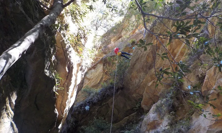 Blue Mountains Abseil and Canyon Tour | Experience Oz + NZ