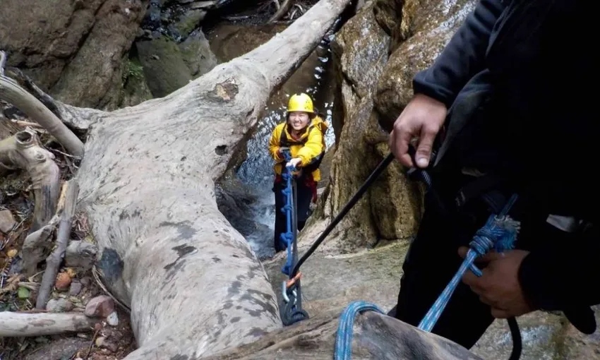 Blue Mountains Abseil and Canyon Tour | Experience Oz + NZ