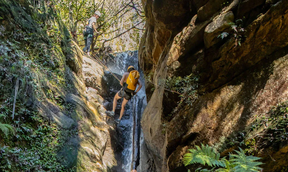 Blue Mountains Abseil and Canyon Tour | Experience Oz + NZ-6