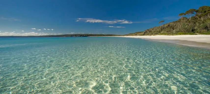 Jervis Bay Dolphin Day Tour from Sydney - Book Now | Experience Oz