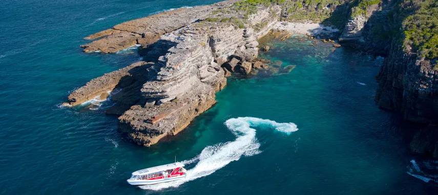 Jervis Bay Dolphin Day Tour from Sydney - Book Now | Experience Oz